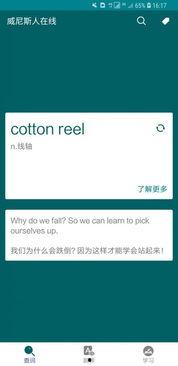 威尼诗人在线视频,探寻诗意人生之旅