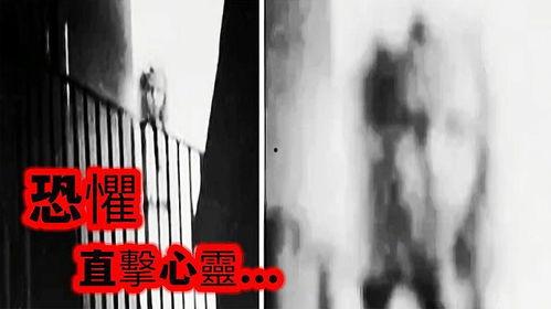 免费猎奇在线视频观看,畅享刺激，安全观影指南