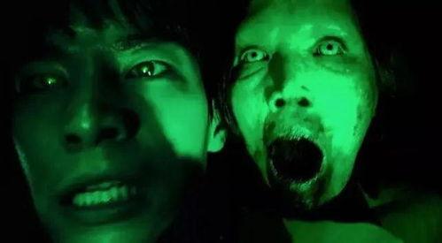 恐怖肉饼在线视频观看,恐怖肉饼在线视频背后的惊悚真相