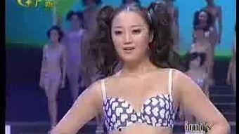 内衣政妇在线视频观看,揭秘宫廷秘闻，在线视频带你领略古代宫廷风情