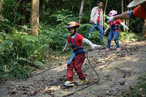 裸体野外丛林在线视频,揭秘原始自然中的真实人性