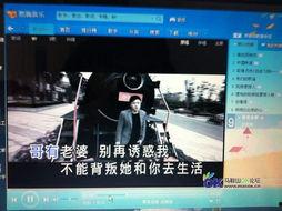 在线视频观看东方,探寻东方文化的魅力之旅