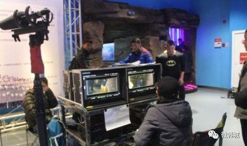 疯狂影院日本在线视频,日本在线视频的奇幻之旅