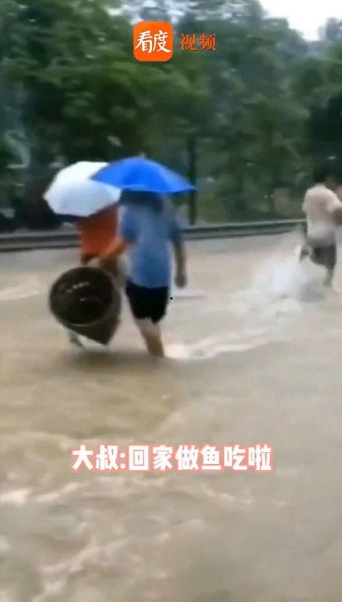 雨中被强在线视频,强风中的坚韧瞬间