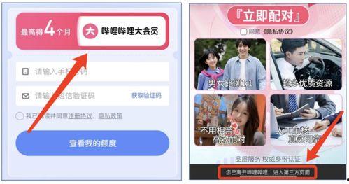 在线视频播放现役,在线视频播放技术的现役创新与应用